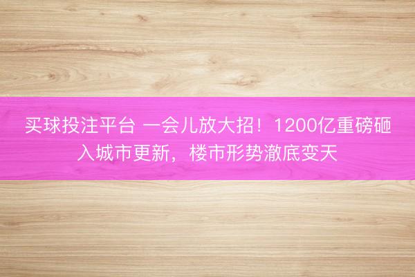 买球投注平台 一会儿放大招!1200亿重磅砸入城市更新,楼市形势澈底变天