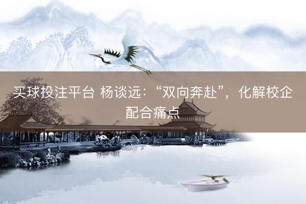 买球投注平台 杨谈远：“双向奔赴”，化解校企配合痛点