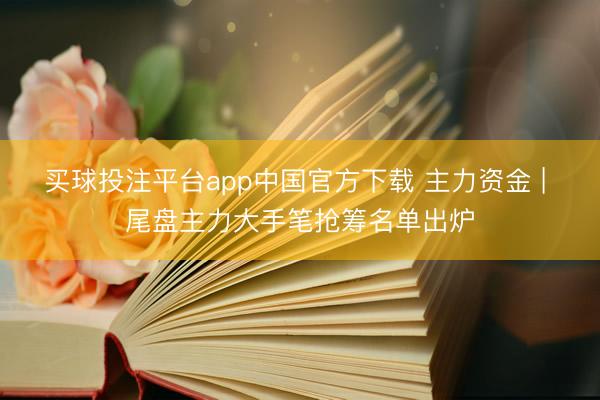 买球投注平台app中国官方下载 主力资金 | 尾盘主力大手笔抢筹名单出炉