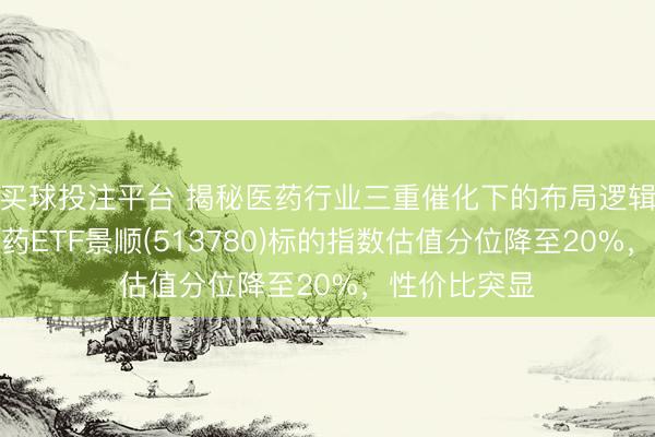 买球投注平台 揭秘医药行业三重催化下的布局逻辑,港股更动药ETF景顺(513780)标的指数估值分位降至20%,性价比突显