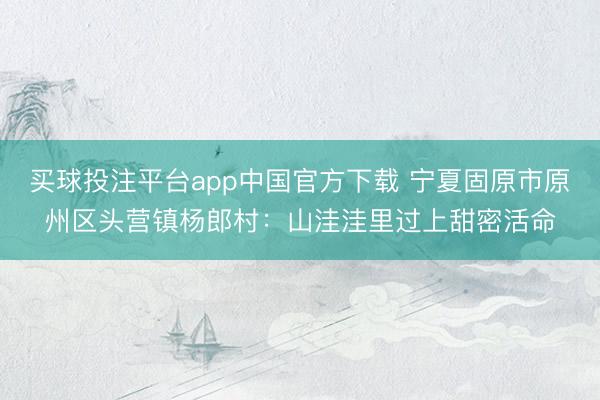 买球投注平台app中国官方下载 宁夏固原市原州区头营镇杨郎村:山洼洼里过上甜密活命