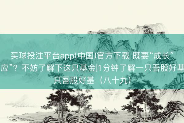 买球投注平台app(中国)官方下载 既要“成长”,又要“适应”?不妨了解下这只基金|1分钟了解一只吾股好基(八十九)
