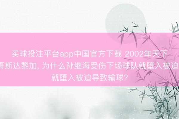 买球投注平台app中国官方下载 2002年天下杯中国踢哥斯达黎加， 为什么孙继海受伤下场球队就堕入被迫导致输球?