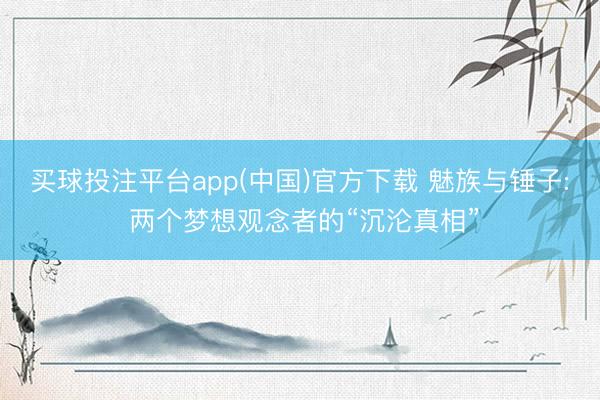 买球投注平台app(中国)官方下载 魅族与锤子: 两个梦想观念者的“沉沦真相”