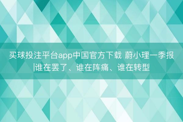 买球投注平台app中国官方下载 蔚小理一季报|谁在罢了、谁在阵痛、谁在转型