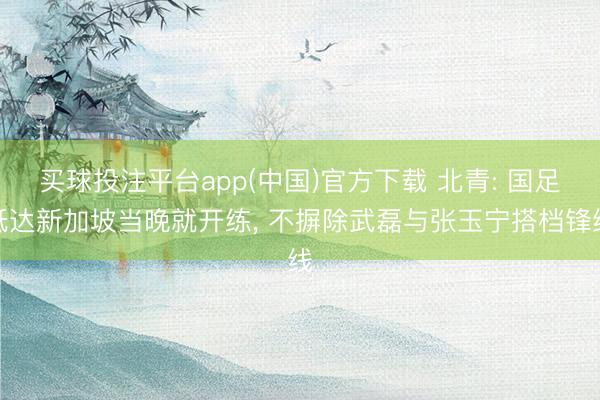 买球投注平台app(中国)官方下载 北青: 国足抵达新加坡当晚就开练, 不摒除武磊与张玉宁搭档锋线