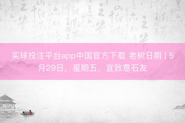 买球投注平台app中国官方下载 老树日期 | 5月29日,星期五,宜致意石友