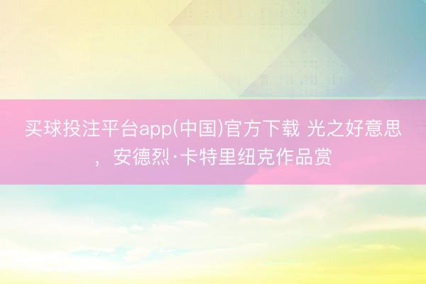 买球投注平台app(中国)官方下载 光之好意思，<a href=