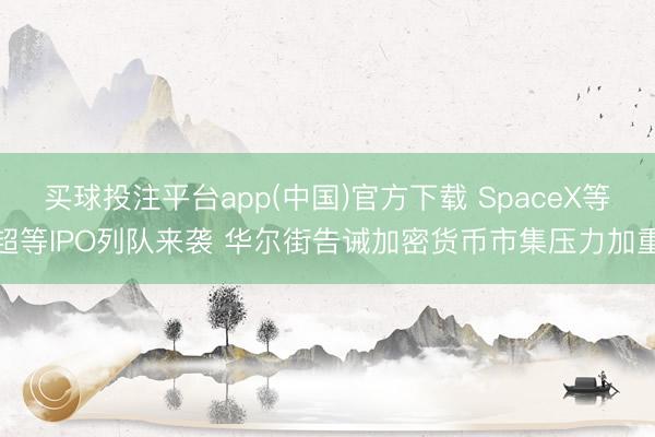 买球投注平台app(中国)官方下载 SpaceX等超等IPO列队来袭 华尔街告诫加密货币市集压力加重