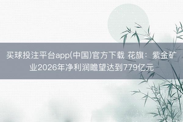 买球投注平台app(中国)官方下载 花旗:紫金矿业2026年净利润瞻望达到779亿元